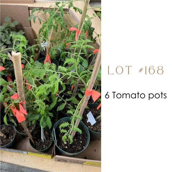 Lot:  168