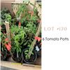 Image 1 : Lot:  170