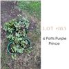 Image 1 : Lot:  183