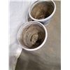 Image 2 : 2 Large Flower Pots