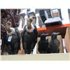 Image 1 : Vulture and Crows Décor - 7