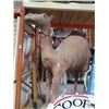 Image 1 : Large Camel Décor w/Rolling Base