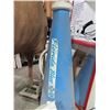 Image 1 : Oversized Bull Horn Décor