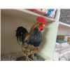 Image 2 : Rooster, Silk Floral Décor - On Shelf
