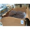 Image 1 : Large Lot of Moss Décor