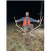 Image 1 : UTAH BACKOUNTRY RIFLE 1ST SEASON ELK HUNT