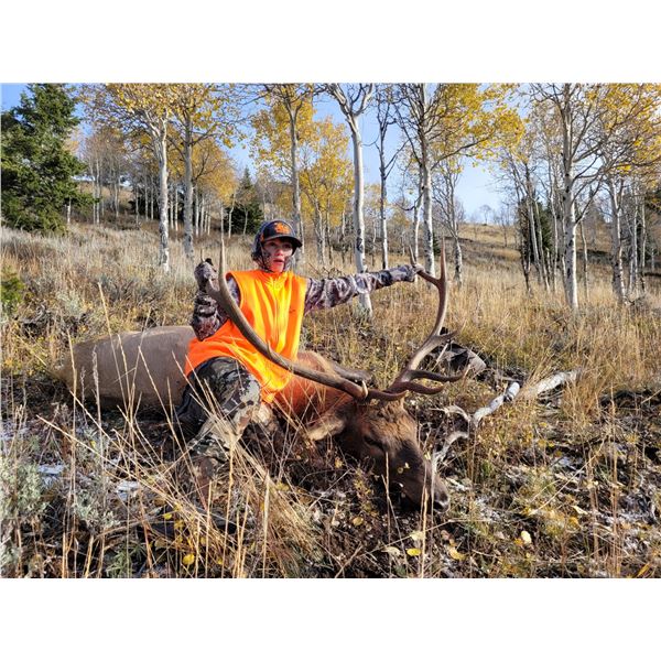 UTAH BACKCOUNTRY 2ND SEASON RIFLE ELK HUNT