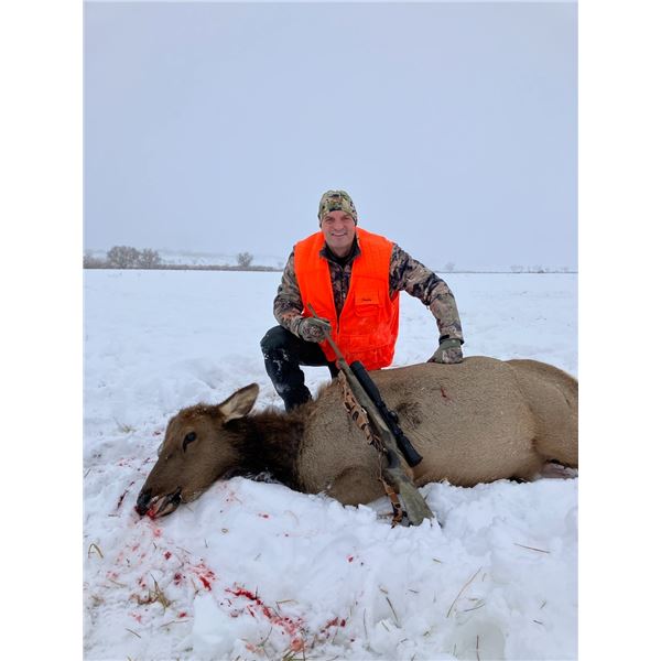 UTAH PRIVATE LAND COW ELK HUNT