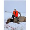 Image 1 : UTAH PRIVATE LAND COW ELK HUNT