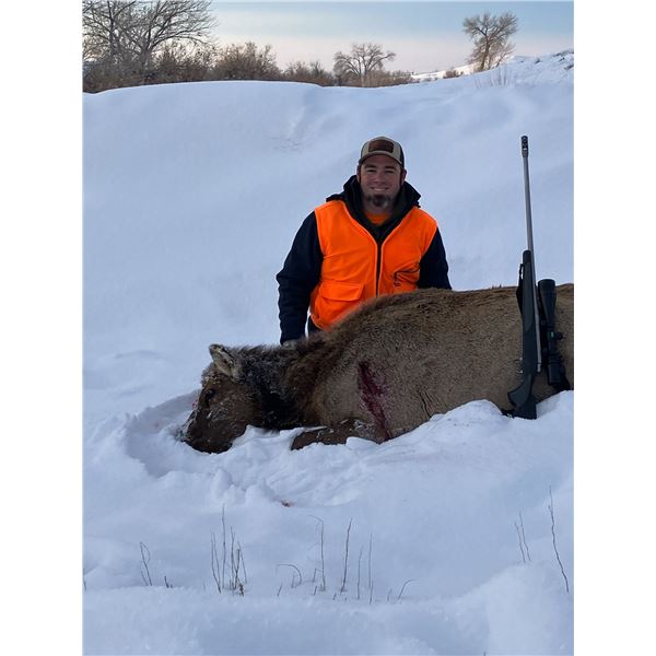 UTAH PRIVATE LAND COW ELK HUNT