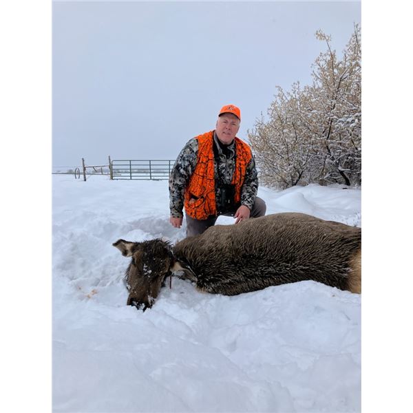 UTAH PRIVATE LANDS COW ELK HUNT