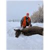 Image 1 : UTAH PRIVATE LANDS COW ELK HUNT