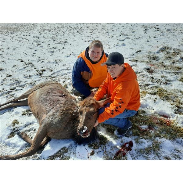 UTAH PRIVATE LAND COW ELK HUNT