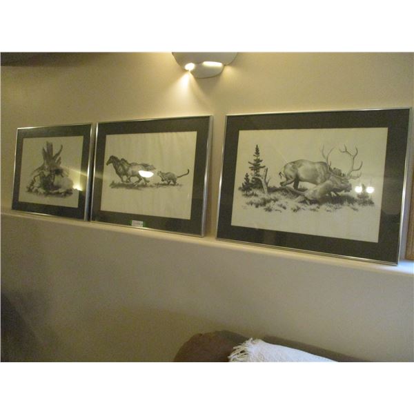 (3 pcs) Dwayne Hardy Wildlife Prints (26"x20") - Cougar Themed