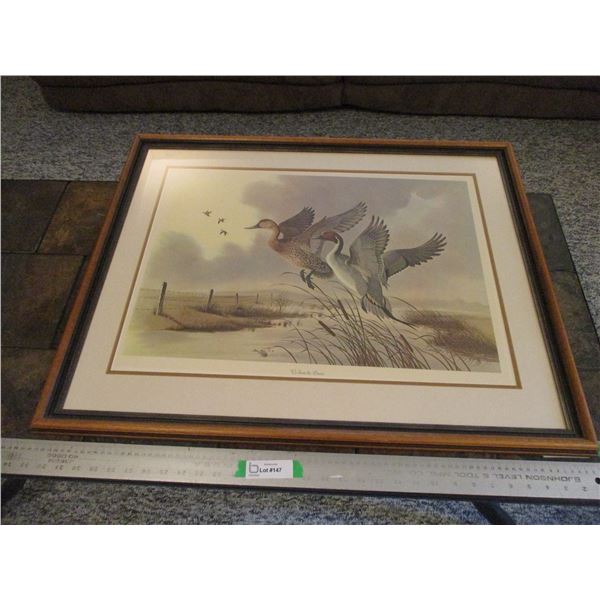  Up From The Prairie  Duck Print Diane Pierce (32 x36 ) Framed Print