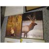 Image 4 : (4) Picture Frames of Varying Sizes, White Board& (2) Large Wildlife/Fishing Pieces