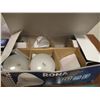 Image 8 : Box of Light Bulbs, Flash Lights, Books, Pillow, Flood Light Bulbs
