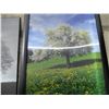 Image 4 : (2 pcs) Landscape Pictures (3D 18"x22") & Folding Camping Lawn Chair