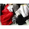 Image 3 : Misc. Items - Clothing, Purses, Hats, Blanket etc. w/Storage Container