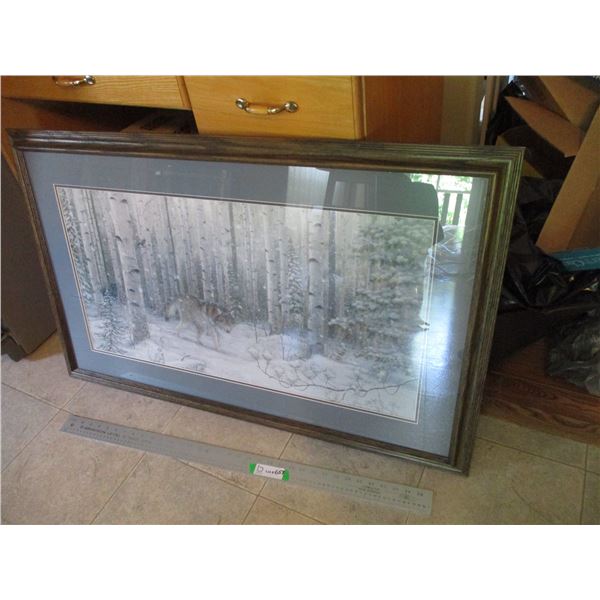 Framed Wolf Print Signed Mark Dacklin 99 - 42 x 26