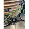 Image 8 : NEXT AND TRIUMPH MOUNTAIN BIKES