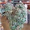 Image 2 : ARTIFICIAL TREE, 6FT