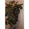 Image 2 : Artificial Plant