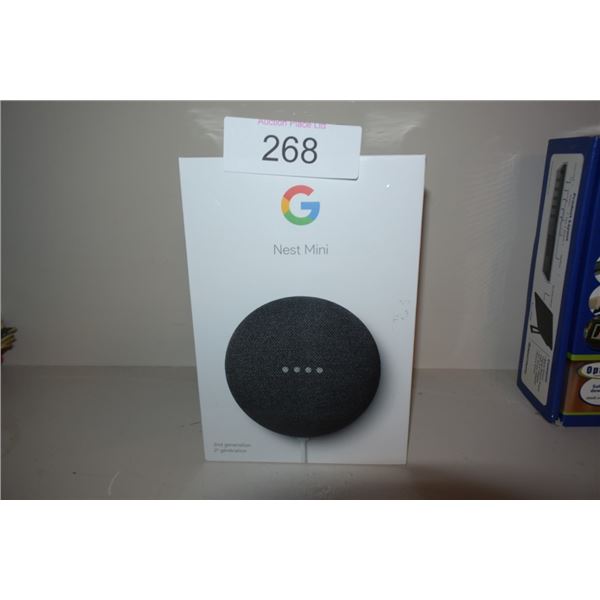 Google Nest Mini