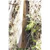 Image 2 : 3" x 6" x 20' I - Beam