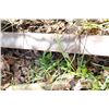 Image 4 : 3" x 6" x 20' I - Beam