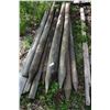 Image 1 : Misc Lot Of Fence Posts