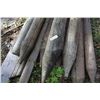 Image 3 : Misc Lot Of Fence Posts