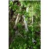 Image 3 : Misc. Rain Gutters.