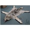 Image 1 : Timber Wolf full head mounted rug, approximately 73" from nose to tip of tail. NOTE: Can only be shi