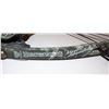 Image 2 : BROWNING COMPOUND BOW WITH 4 THUNDER EXPRESS 26"