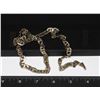 Image 1 : 18K GOLD PLATED CHAIN (WHITE GOLD)