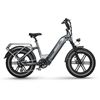 Image 1 : Himiway Big Dog Electric Cargo Bike