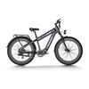 Image 1 : Himiway D5 Plus Rhino Dual Battery OffRoad E-Bike