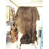 Image 1 : Tanned Buffalo hide - retail value $2300 (2)