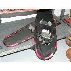 Snow Shoes (2)
