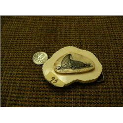 Ivory belt buckle with fossilized ivory with scrimshawed walrus by P. Mayac (2)