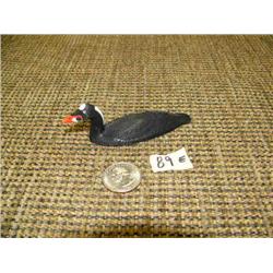 CHOICE on 5 Ivory birds by Al Mayac: Surf Scoter (2)