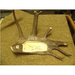 Carved antler with relief of polar bear and seal - 15.5"x12" (2)