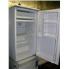 Image 2 : 2 Small GE Refrigerators   (169)