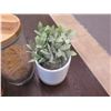 Image 4 : Multiple Kitchen Accessories: Pepper Grinder, Plants in Pots, Storage Cylinders, etc