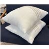 Image 3 : Qty 2 Woven Throw Pillows 20" x 20"