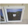 Image 3 : Qty 2 Framed Artwork Architectural Photos 20" x 20" (each)