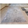 Image 2 : Biscayne Gray Area Rug, Made in Belgium 11' x 8' (rug only - furniture not included)