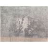 Image 3 : Biscayne Gray Area Rug, Made in Belgium 11' x 8' (rug only - furniture not included)