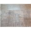 Image 13 : Indich Collection Large Beige Area Rug, Made in India 14' x 20'